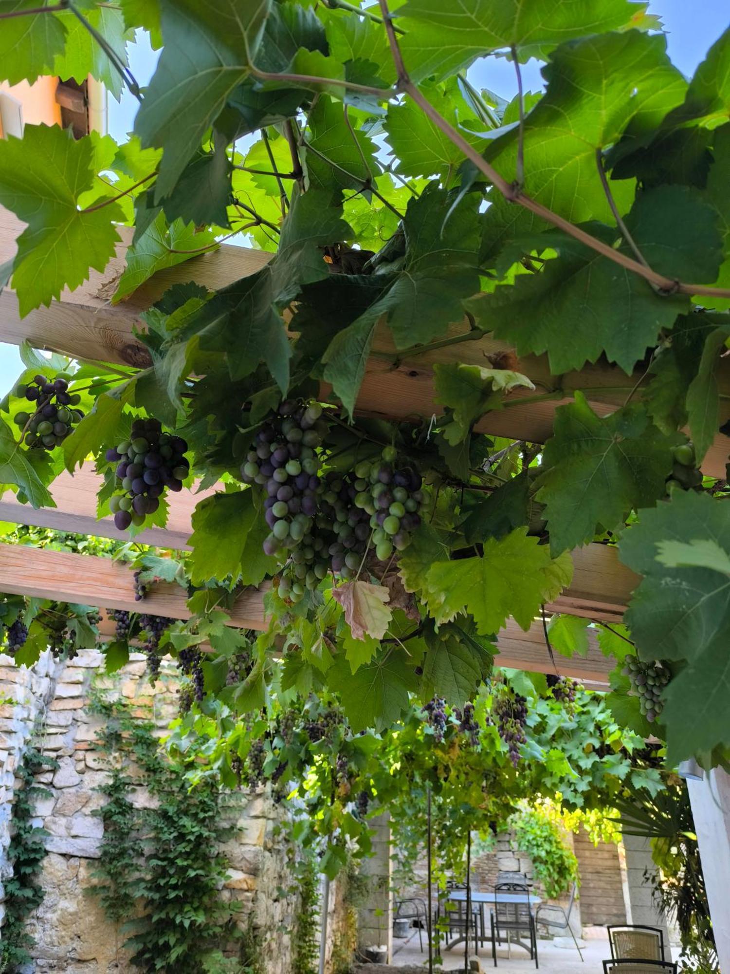 罗维尼Casa Di Marko 105 M2 Garden公寓 外观 照片