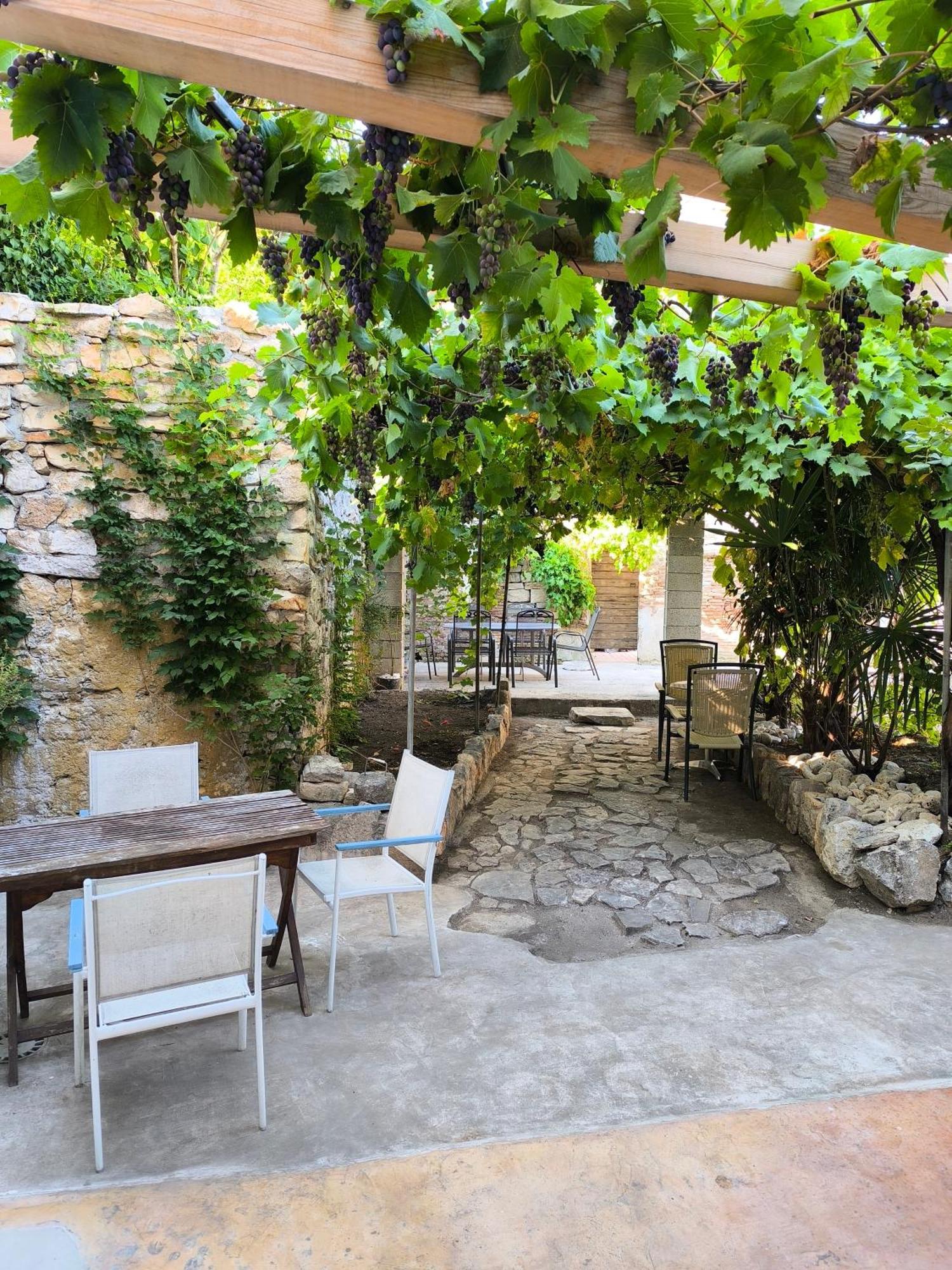 罗维尼Casa Di Marko 105 M2 Garden公寓 外观 照片